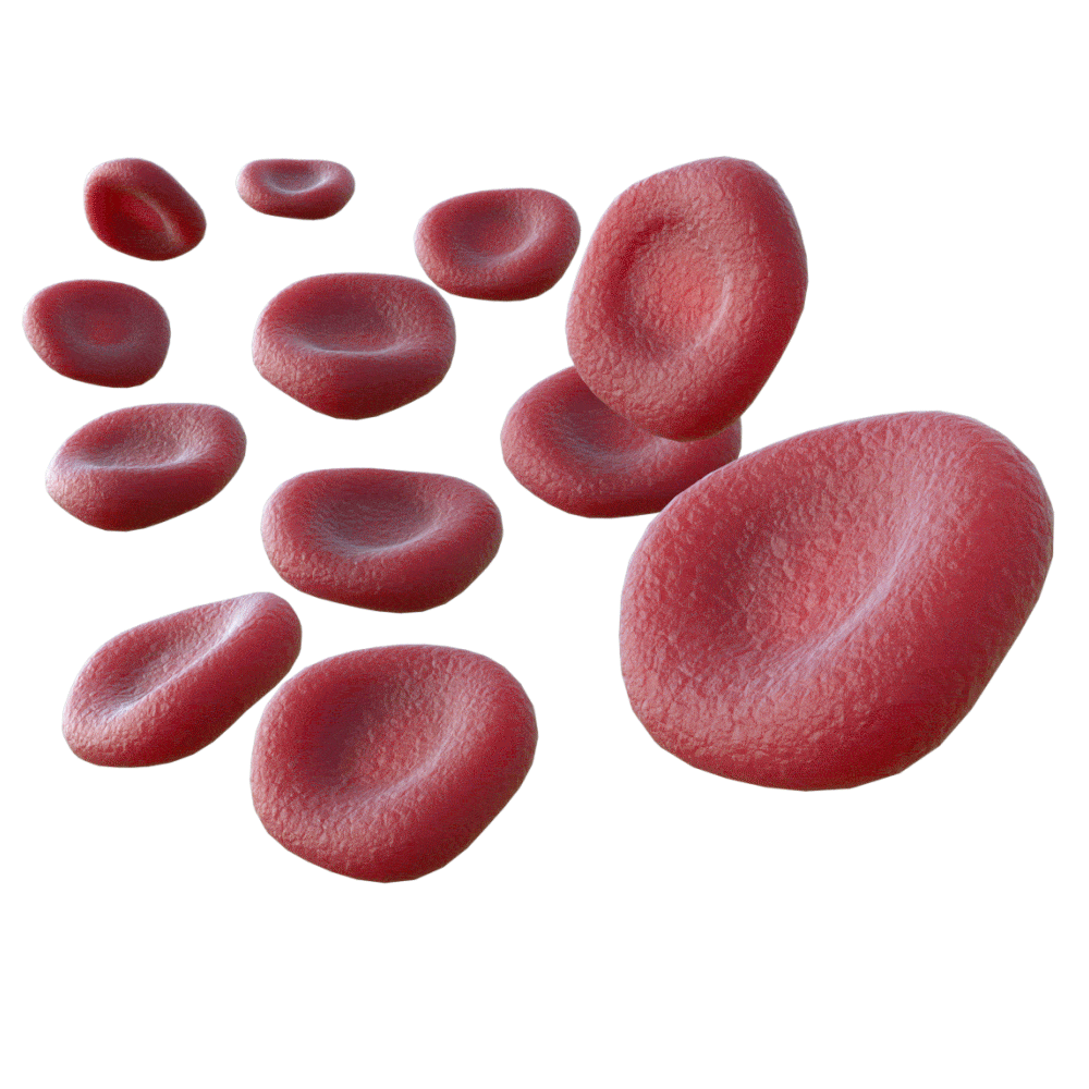 妥協しないものづくり