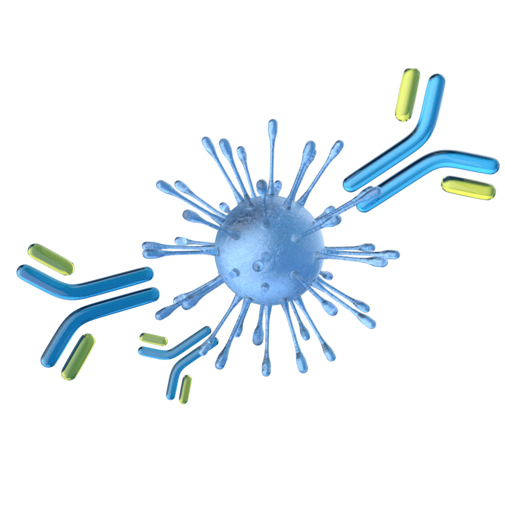 物理演算の計算をしたリアルな世界