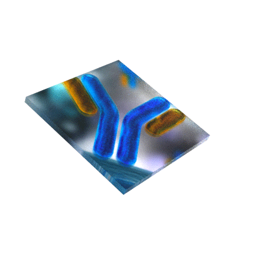 debris イメージ画像